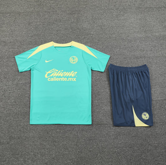 Ensemble America training